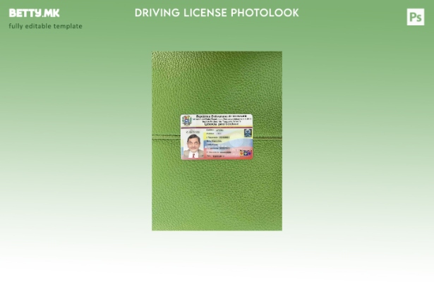 модерен стил Венецуела DL photolook ПРЕДЕН шаблон